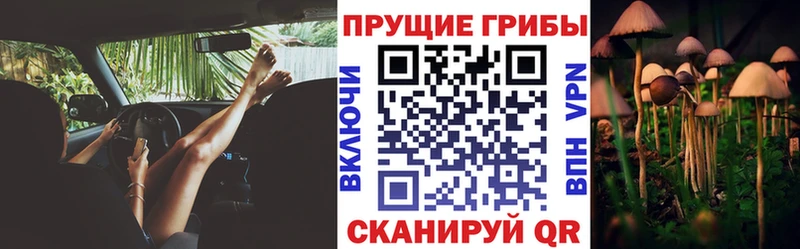 Псилоцибиновые грибы мухоморы купить наркотик Бахчисарай